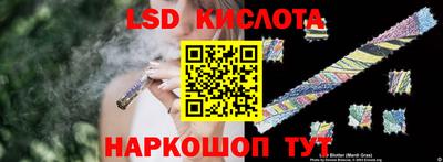 крисы Гагарин