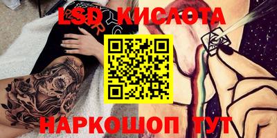 крисы Гагарин