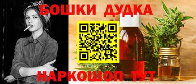 стафф Гатчина