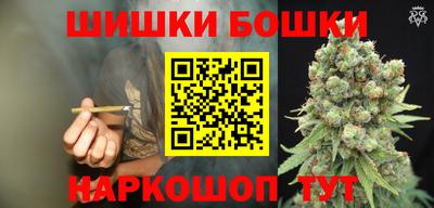 стафф Гатчина