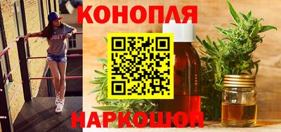 амф Гай