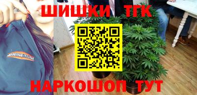 крисы Гагарин