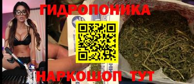 стафф Гатчина