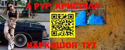 амф Гай