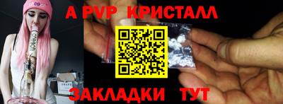 стафф Гатчина