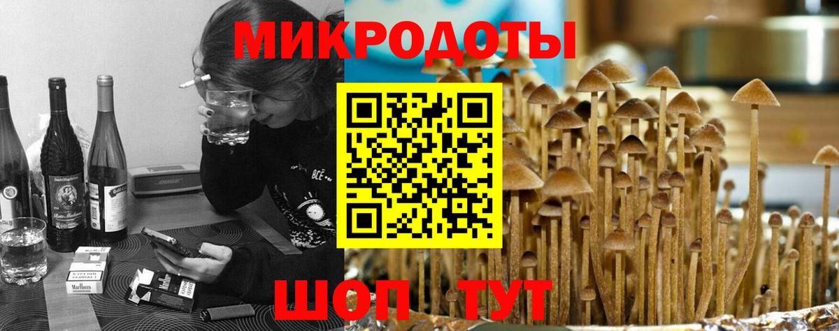 Псилоцибиновые грибы Psilocybe  наркошоп  Березники  Вход с VPN 